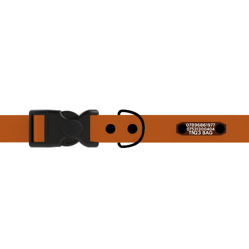 Adjustable - ID Engraved collar