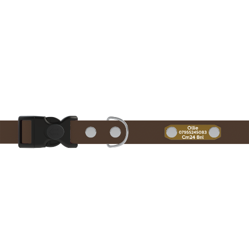 Adjustable - ID Engraved collar