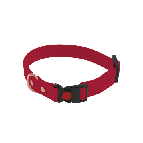 Adjustable Collar